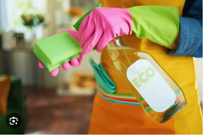 Eco-Friendly and Green Cleaning Products